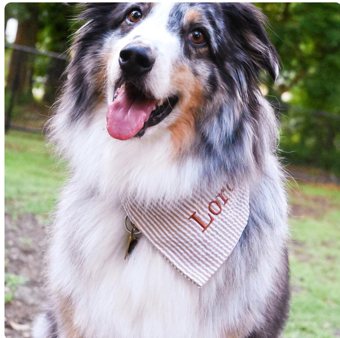Seersucker Stripe Dog Bandana: Embroidery Khaki & White Tie On Bandana.